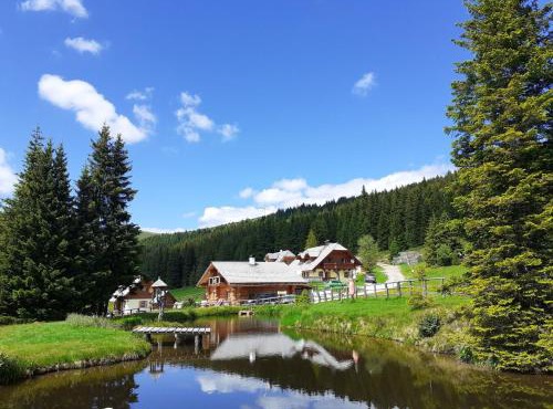 Holiday Home Lachtalhütte by Interhome