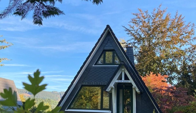 Holiday Home 'Nurdachhaus Sauerland' with Private Garden, Grill & Fire Pit