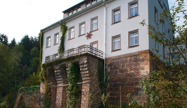 Holiday house Reinhardtsdorf for 1 - 28 persons with 12 bedrooms - Holiday house
