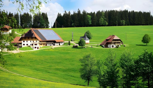 Holzhof