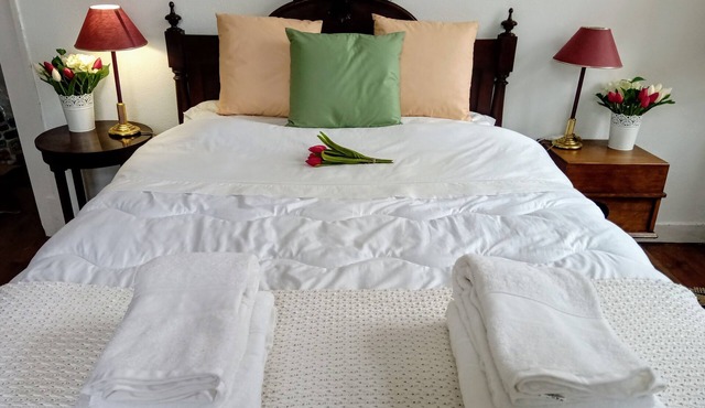 Horses, Breakfast and Bed Welcome you in Portugal