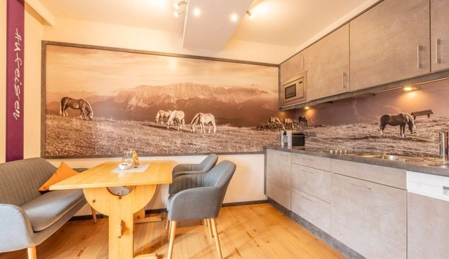"Horseshoe" apartment/1 bedroom/shower, toilet - holiday happiness, holiday apartments