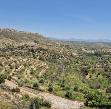 Hotel Diosa Fortuna