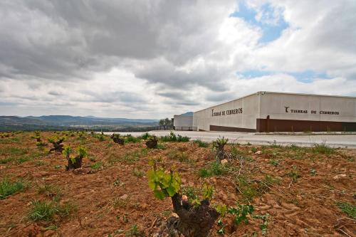 Hotel Rural TIERRAS DE CEBREROS