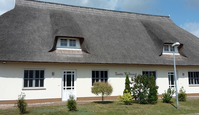 House for 4 guests with 85m² in Garz (129317)