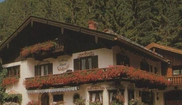 House in the best, quiet and sunny location (dogs welcome, not only tolerated)