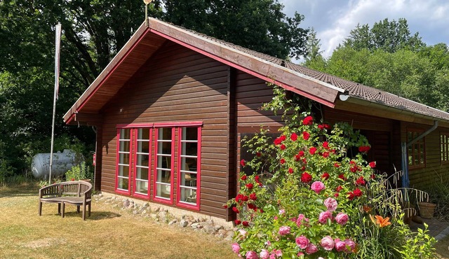 Idyllically situated house by the forest. Near the beach, Eckernförde, parking lots, pets