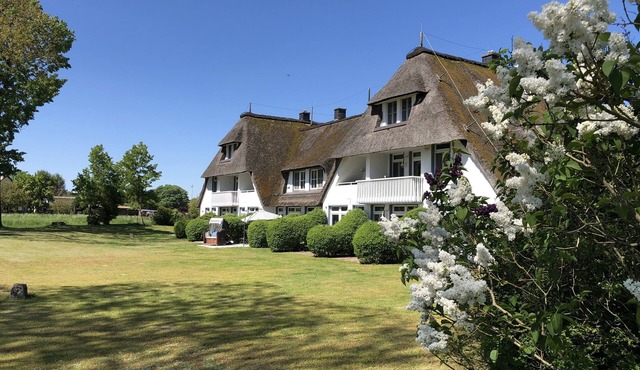 Insel Usedom Stolpe am Kleinen Haff. Komfortable Maisonettewohnung