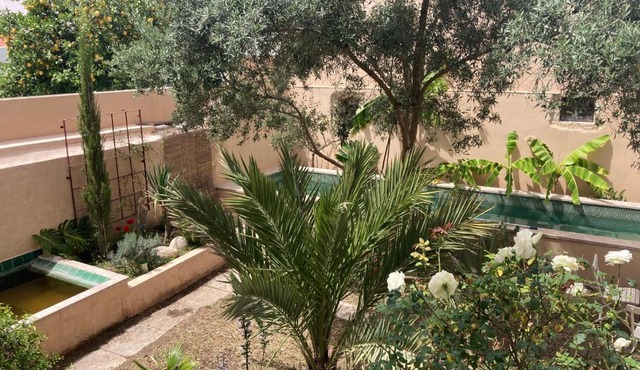 Junqueira Gardens - Casa Antiga Jardim e Piscina