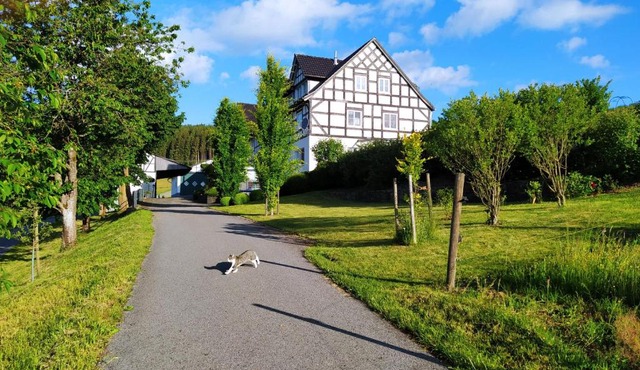 kleine AusZeit