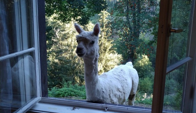 Kräuterbaude