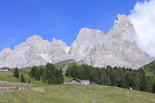 LA PULCE INNEVATA - Mansarda a due passi dal cielo - Dolomiti Affitti