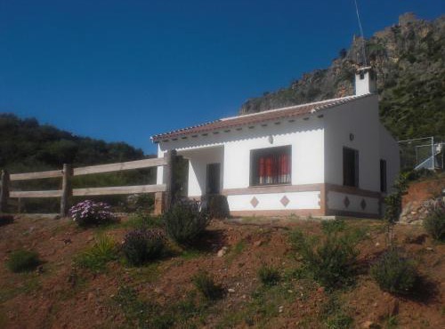La Solana de turón. La coscoja.