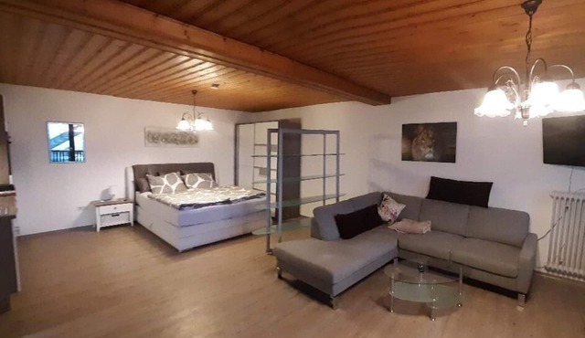 Large 1-room apartment with west-facing balcony and WiFi