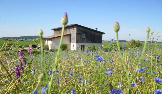 Large apartment with a view of Usedom and Achterwasser on the nature reserve