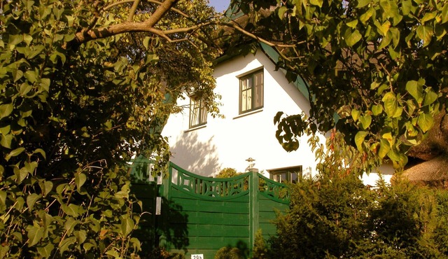 Large Reet - House for 4 people + baby garden sea