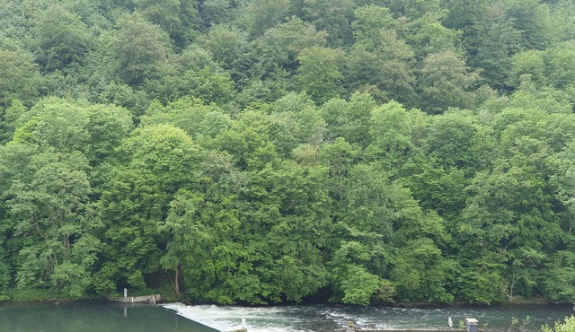 Liebevoll Eingerichtete Ferienwohnung am Fluss in Beliebtem Wandergebiet