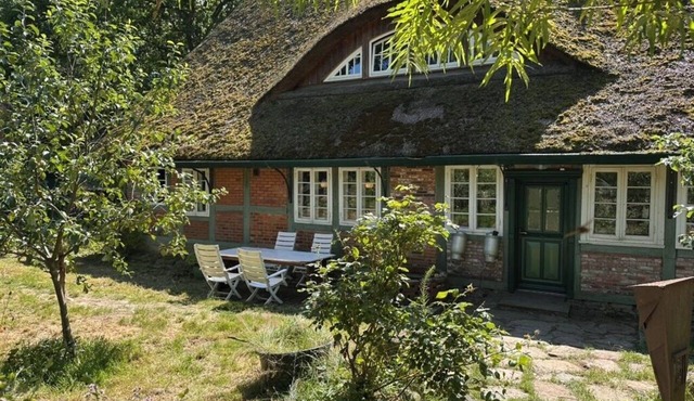 Living Under a Thatched Roof