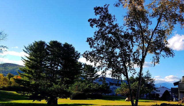 LOCATION, COMFORT & VIEWS IN THE WHITE MOUNTAINS!