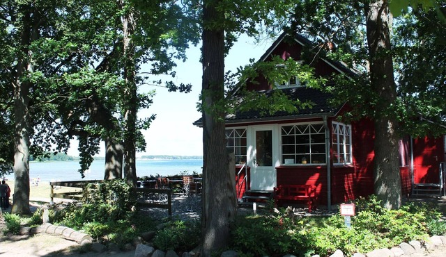Lovely Holiday Home in Zierow with Terrace