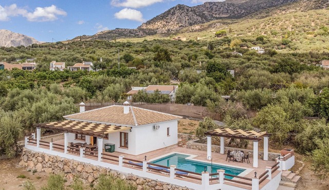 Luxurious home in Periana
