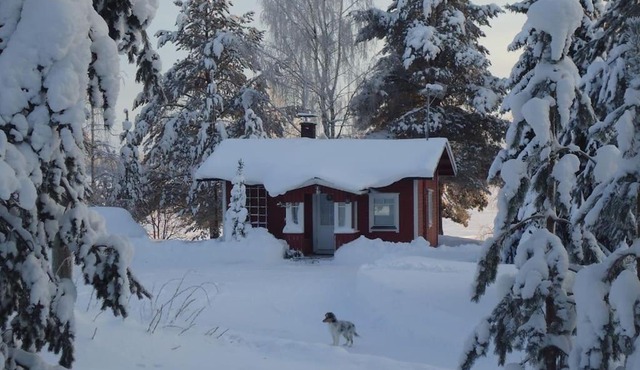 Lysti Cottage by the lake and magical countryside