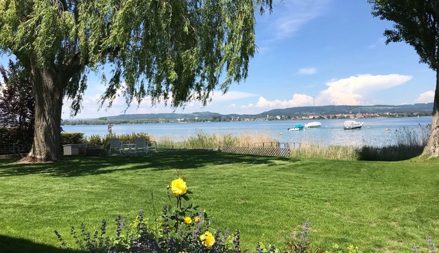 Modern beach house with direct lake access and private garden, newly renovated