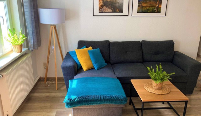 Modern furn. Apartment "Wanderfalke", central & quiet, Säch. Switzerland, 55sqm, terrace