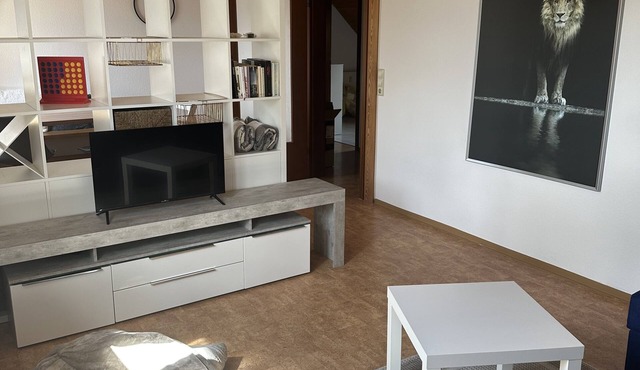 Moderne, Helle & Zentrale Wohnung im Herzen von Steißlingen
