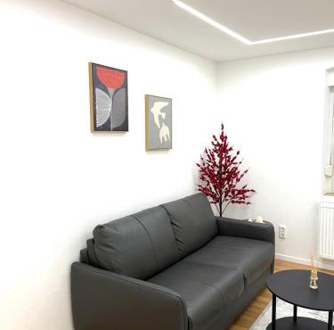 Moderne, neu möblierte Wohnung in zentraler Lage
