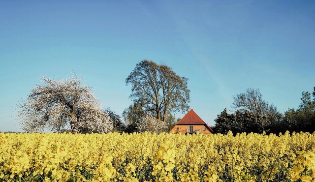 Modernity in farmhouse with lagoon view