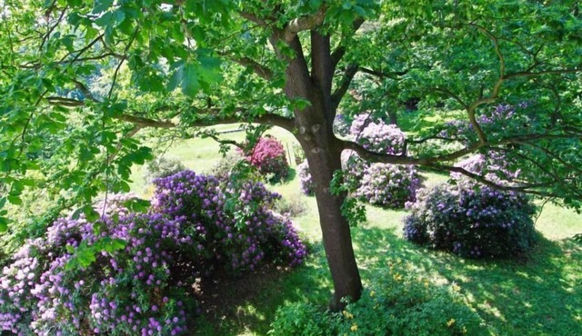 Nature and art holiday flat, 5-star