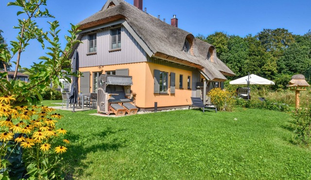 Newly built, modern, exclusive - that describes the Klein Stresow vacation village