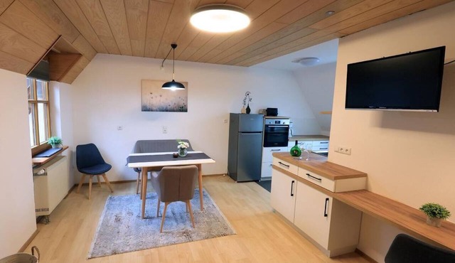 Newly renovated two-room apartment with a fully equipped kitchen