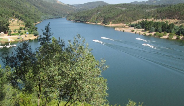 Next Castelo do Bode, Foz da Ribeira de Alge with Rio Zêzere, Pet