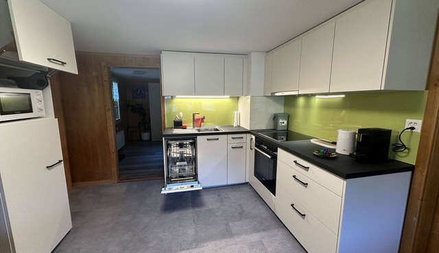 Nice apartment for 5 guests with TV and balcony