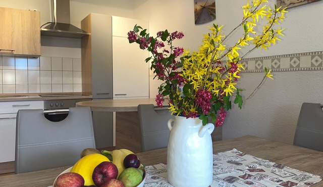 Nr. 2 - 4 Zimmer Ferienwohnung mit Kamin, Terrasse, Garten - Ostsee Bauernhof Schwalbennest OFC 15