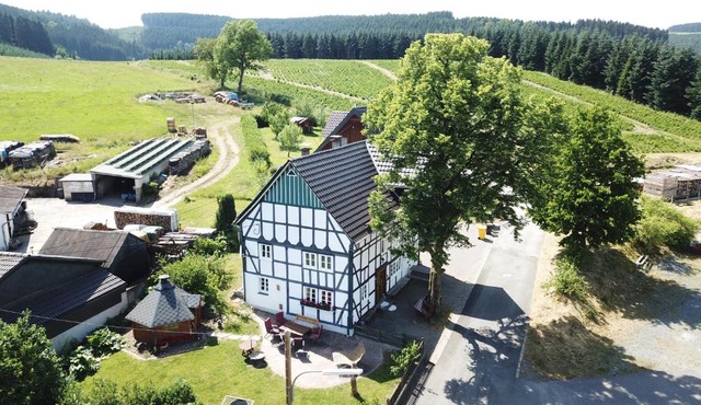 Ortmanns Eulennest