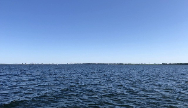 Ostseekrabbe