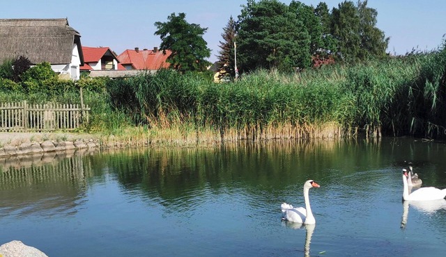 Paradise on the Peenestrom quiet, small priv. Beach, Terrace - Ziemitz -