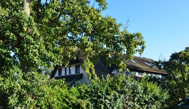 Peaceful cottage on the Baltic Sea for 8 people and baby