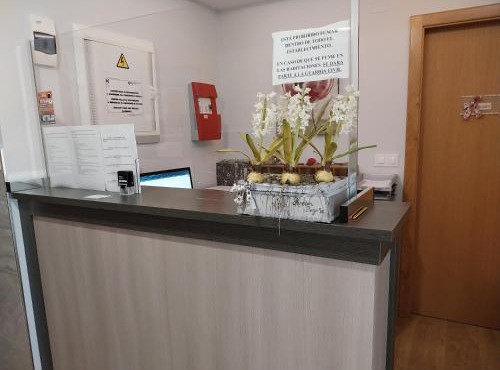 Pension Begoña