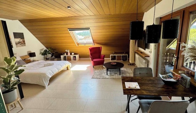 Pension Schmidt - Wipfelblick - Cozy Loft Apartment