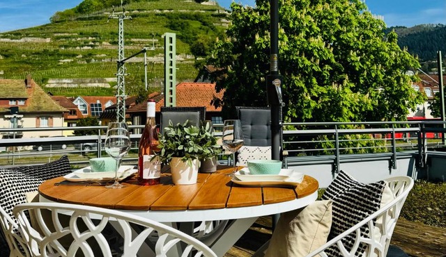 Penthouse Burgblick mit Dachterrasse