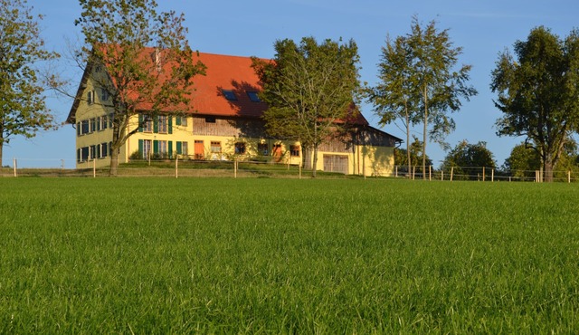 Pure relaxation - beautiful apartment in a fantastic location.