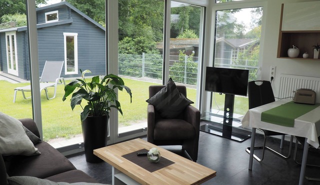 "Pure relaxation in the birch grove: a retreat in nature!"