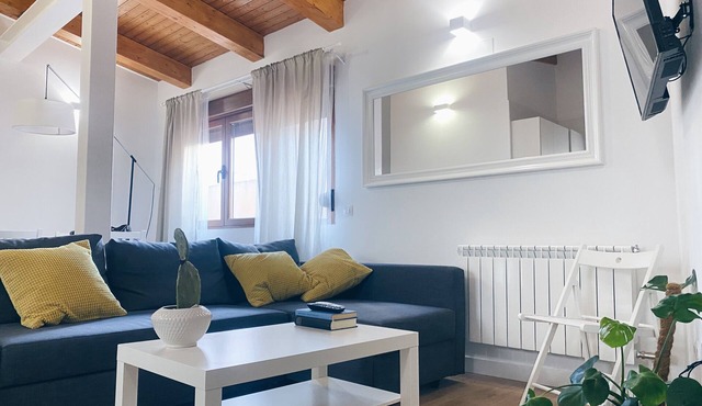 Quiet, bright, renovated and spacious penthouse. One minute from the Plaza Mayor.