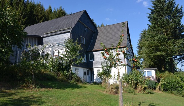Quiet apartment in Sauerland with terrace