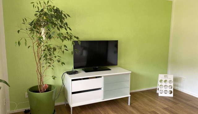 Quiet living in an idyllic location on the beautiful High Rhine - in the Black Forest