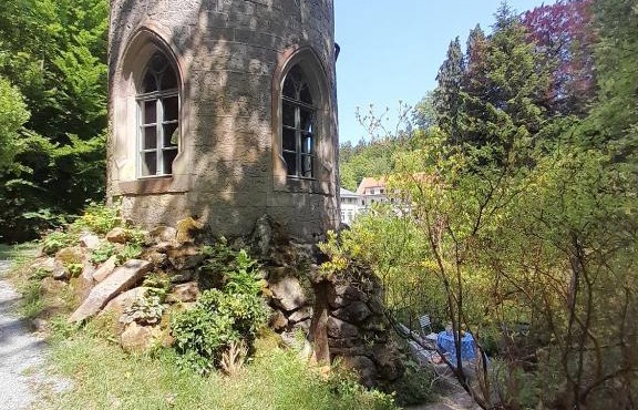 Rapunzel trifft Dornröschen